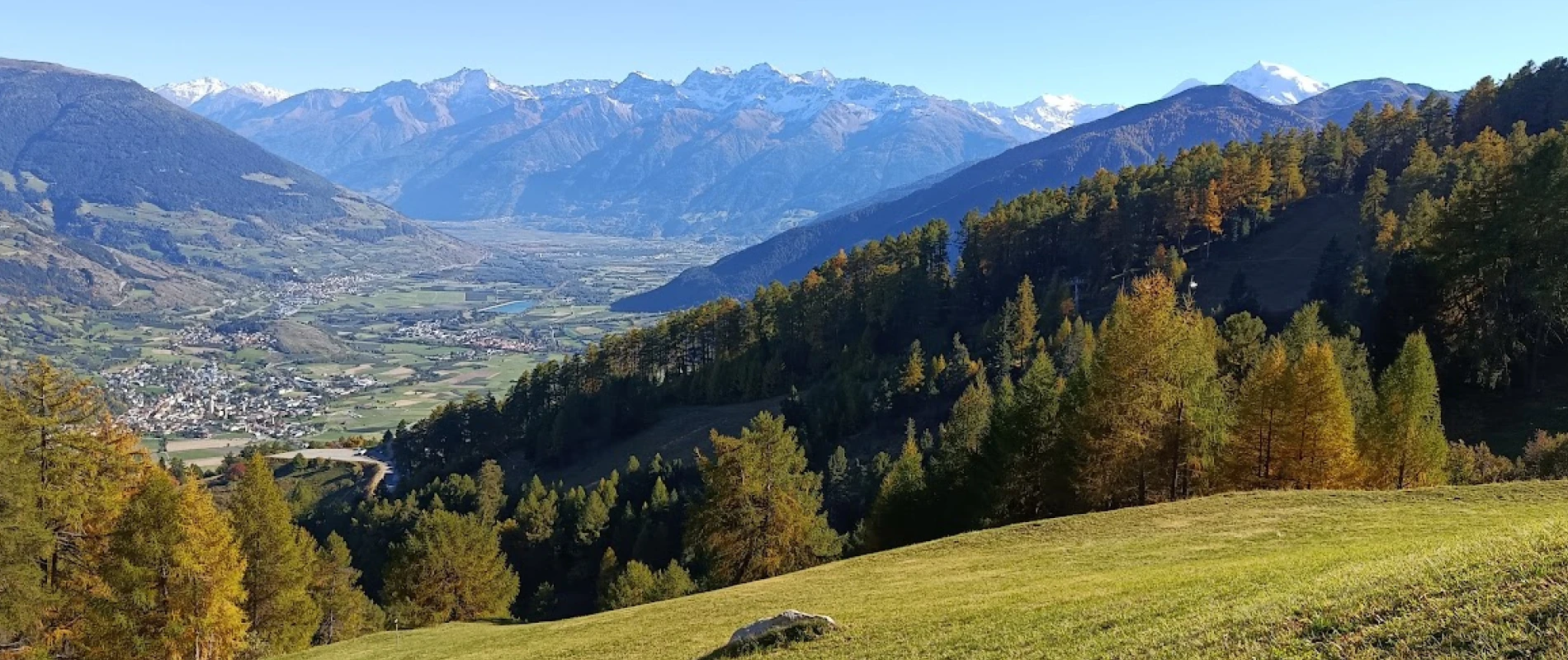 Herbst